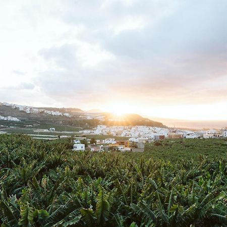 Tortuga Blue House In Banana Plantation Βίλα Arucas Εξωτερικό φωτογραφία