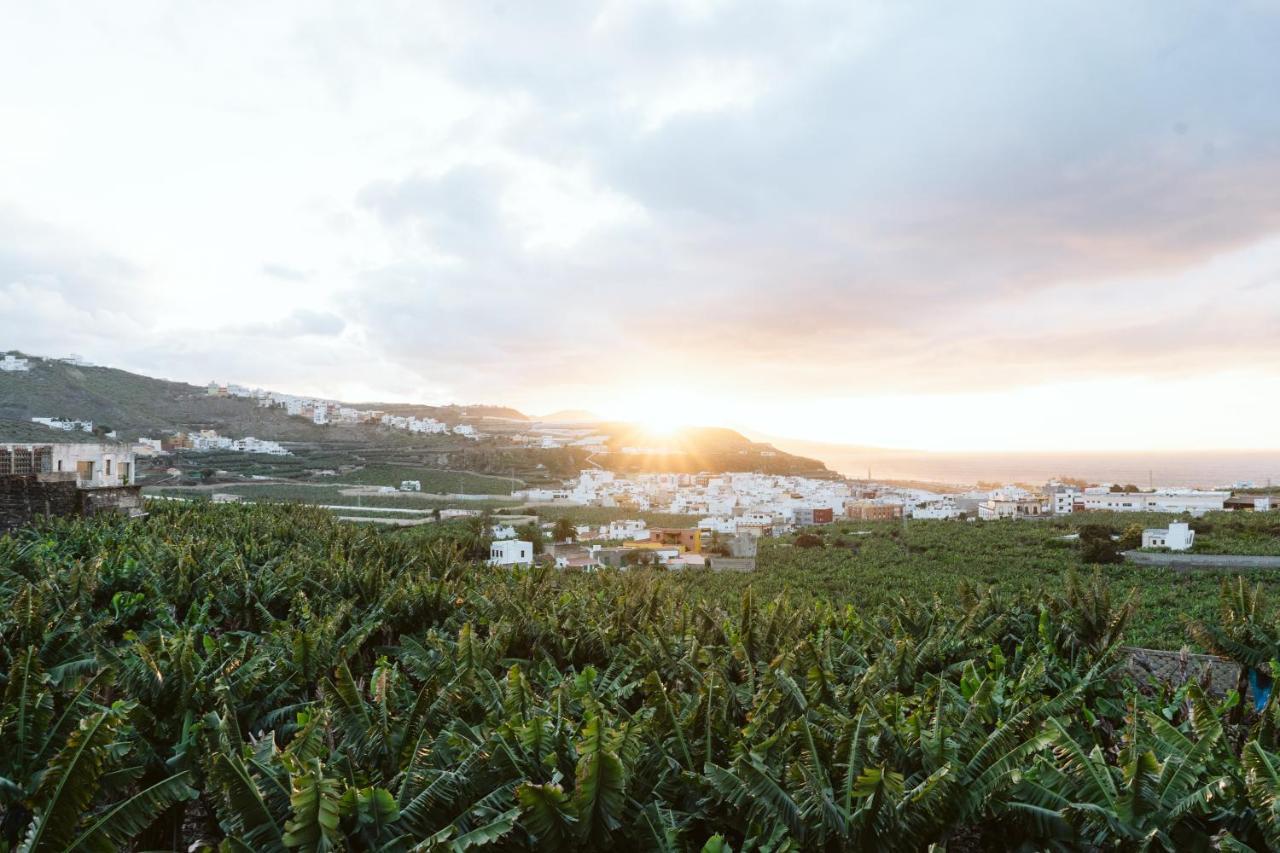 Tortuga Blue House In Banana Plantation Βίλα Arucas Εξωτερικό φωτογραφία
