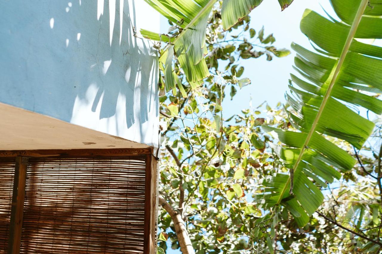 Tortuga Blue House In Banana Plantation Βίλα Arucas Εξωτερικό φωτογραφία